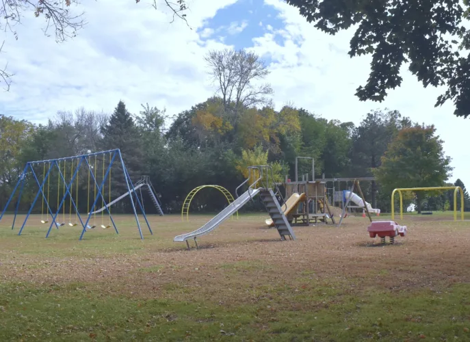 Helping Hands works to spruce up Ceylon park